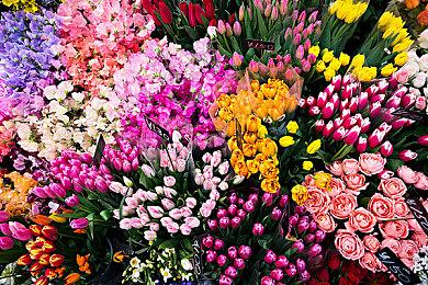 《全面战争：战锤3》新情报 双龙现身兵俑亮相